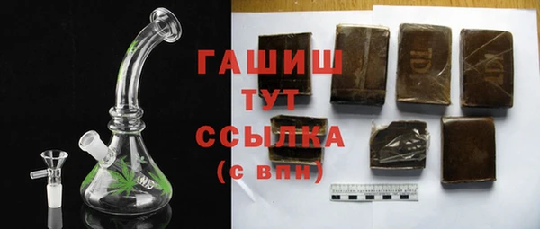 прущие грибы Елабуга