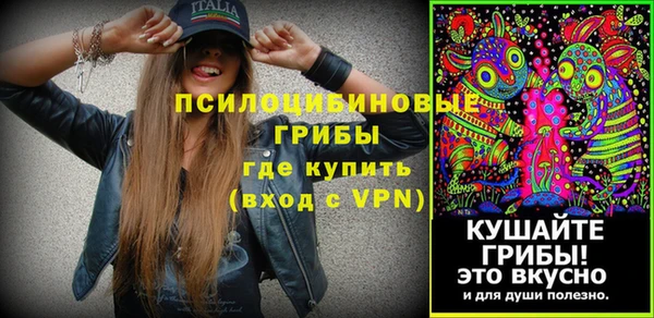 сатива Корсаков