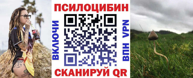 Галлюциногенные грибы Psilocybe закладки Карачаевск