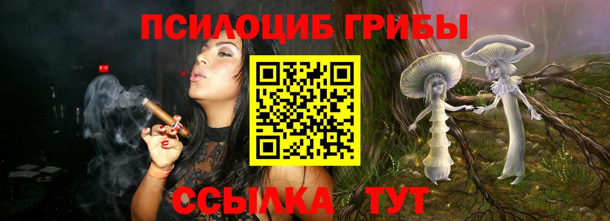 Карачаевск  Галлюциногенные грибы Psilocybe  Вход с VPN 