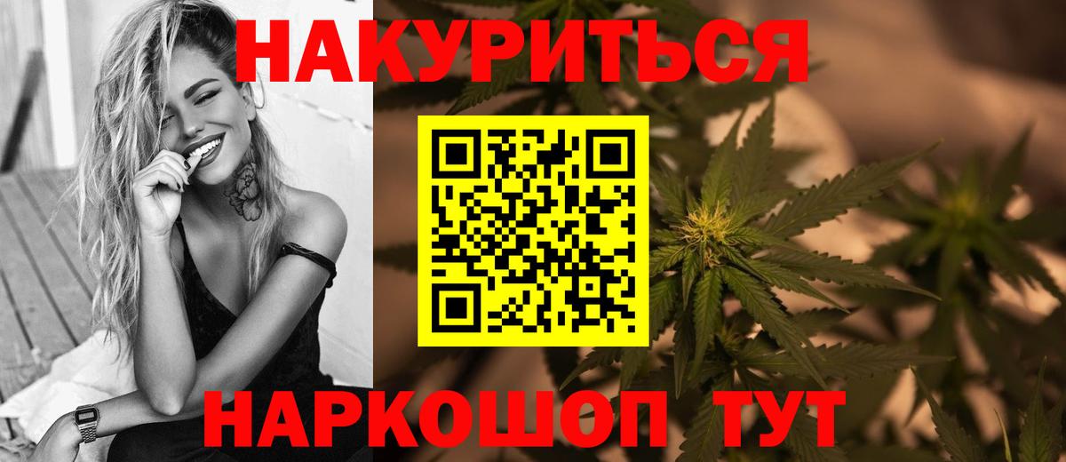 Конопля сатива Карачаевск